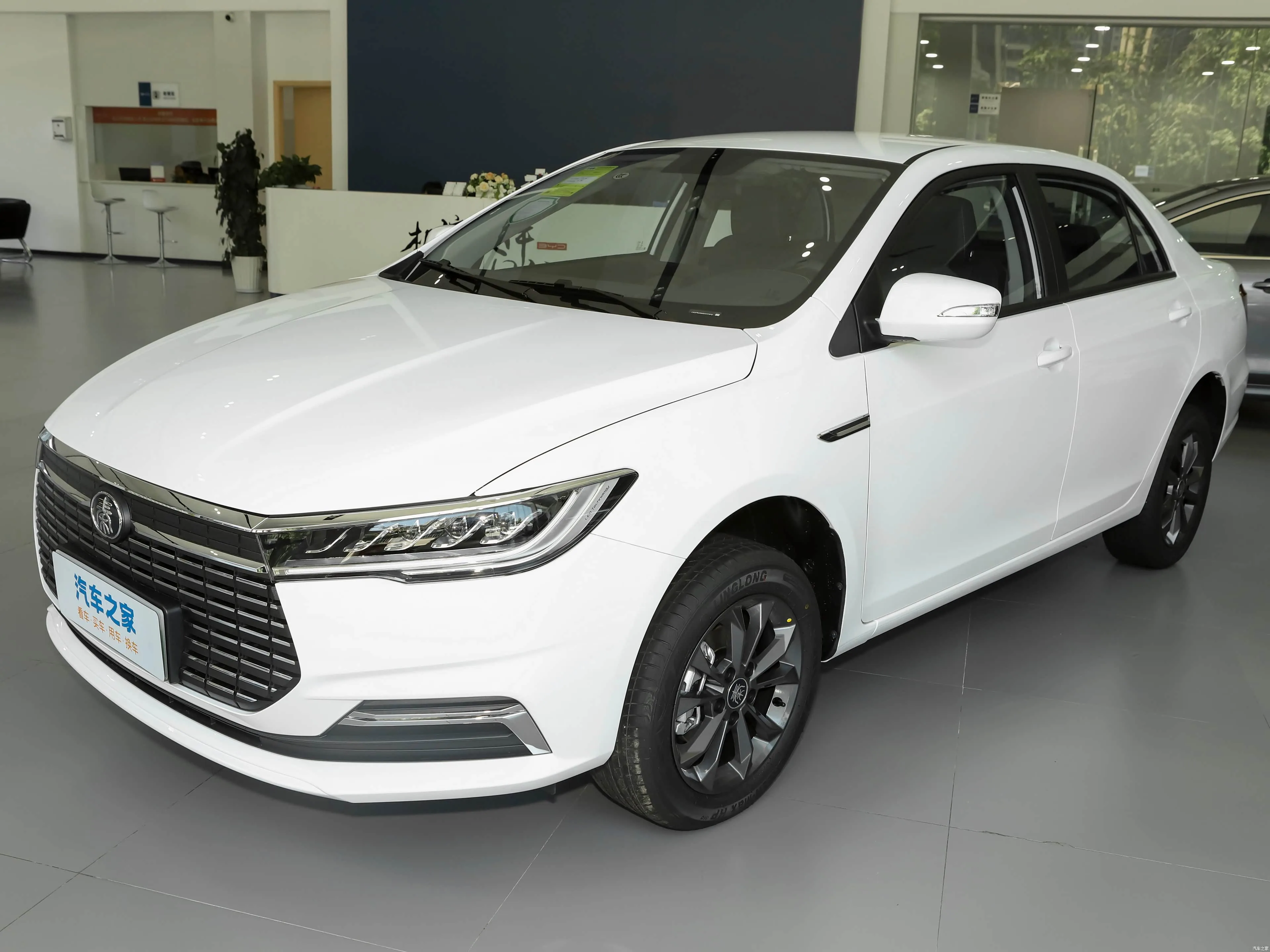 BYD Qin EV 2025 — купить в Минске