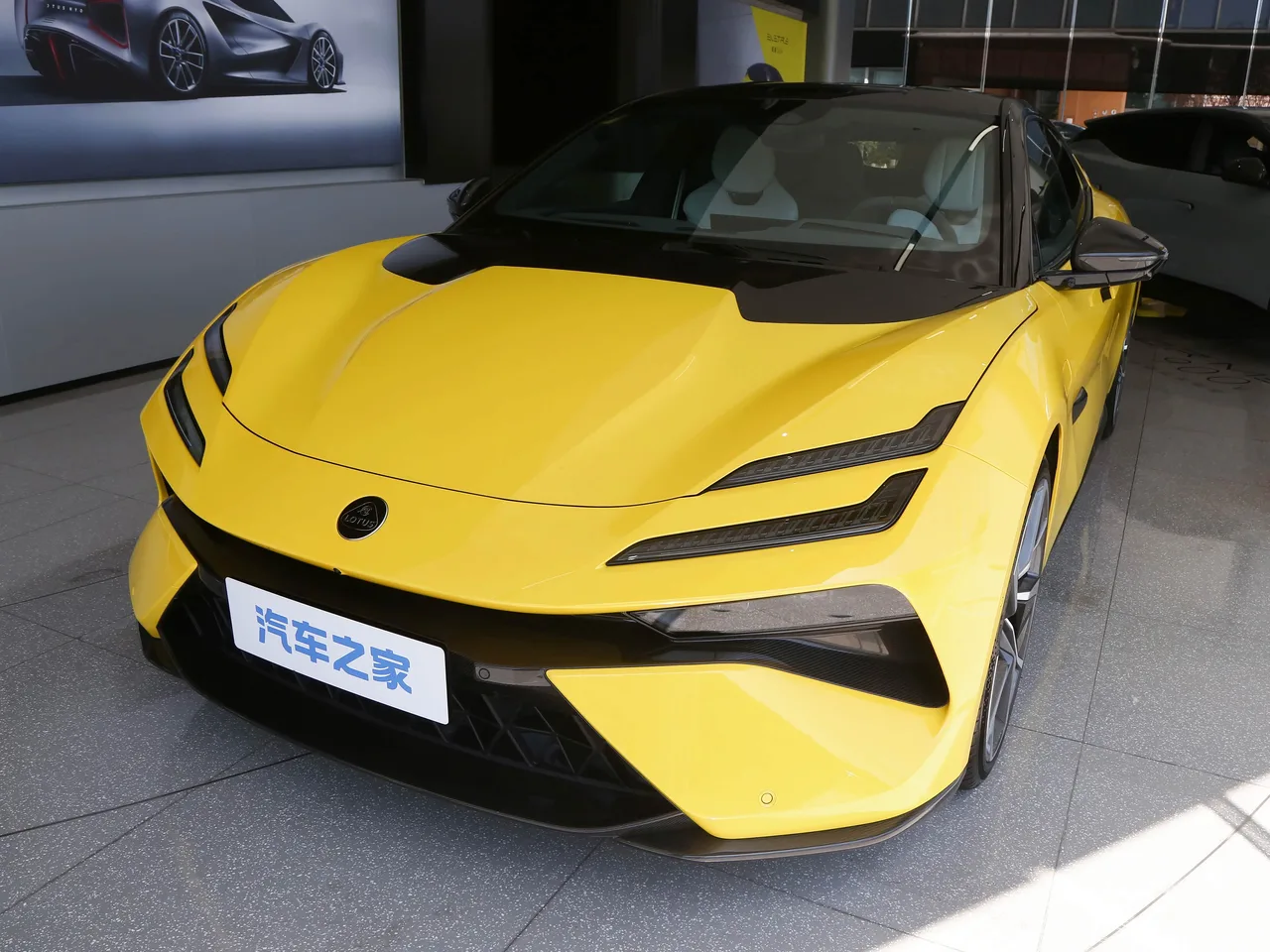 Lotus Emeya — регламент ТО