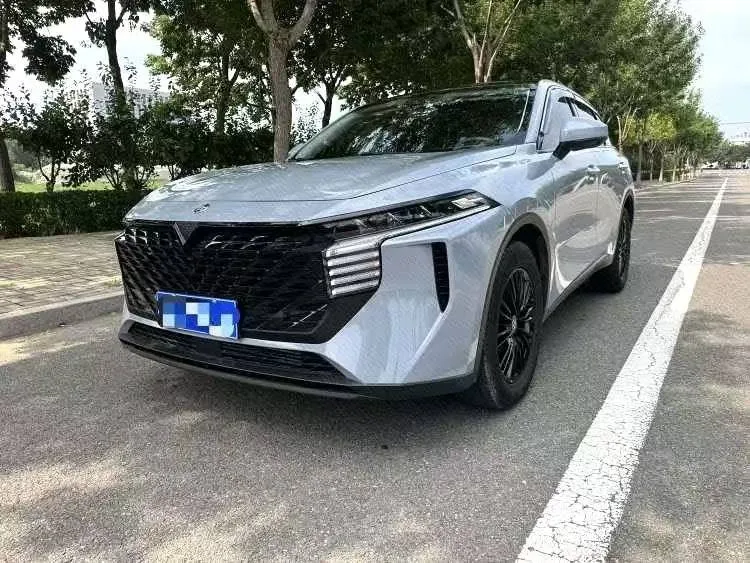 Venucia Big V 2023 — купить в Минске